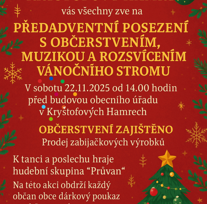 Rozsvícení vánočního stromku a vánoční trhy